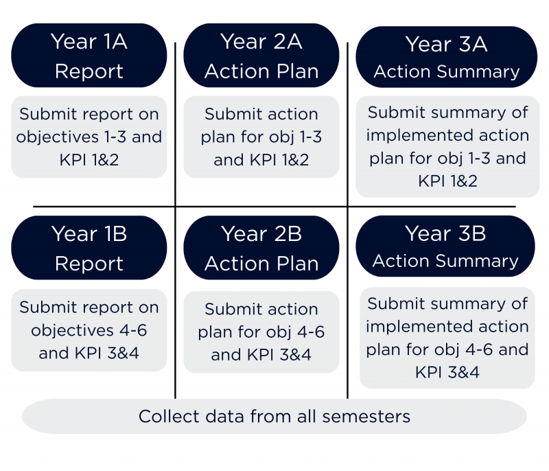 2 row process with year 1-3 on top row and 4-6 on bottom row; top row starts with year 1 report, followed by year 2 action plan and year 3 action summary; row 2 repeats this pattern using the other half of learning objectives